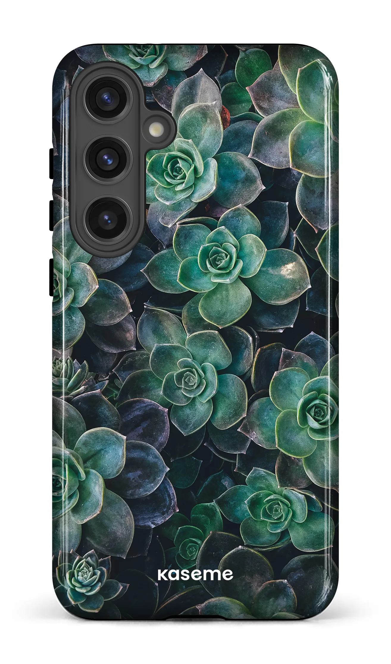 Succulente